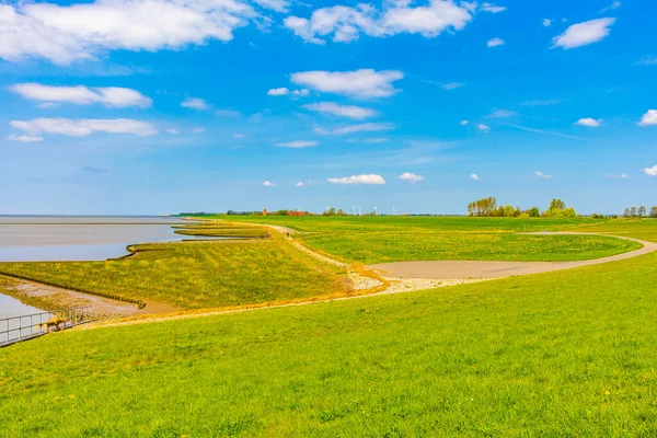 stock image Beautiful coastal and dike landscape panorama with water stones fields and forest at Imsum dyke dike in Geestland Cuxhaven Lower Saxony Germany.