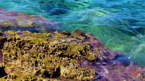 Piękna Plaża Zatoka Kavouri Turkusową Wodą Naturalną Strukturą Voula Vouliagmeni — Wideo stockowe