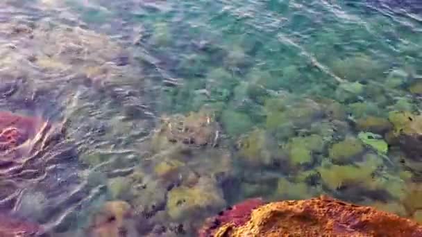 Schöner Strand Und Bucht Von Kavouri Mit Türkisblauem Wasser Und — Stockvideo