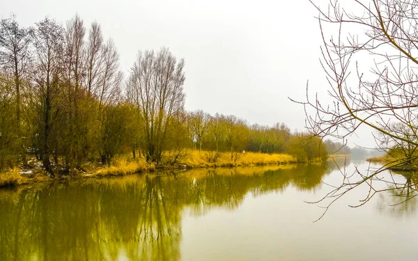 Étang Fluvial Gelé Lac Dans Environnement Forestier Naturel Froid Langen — Photo