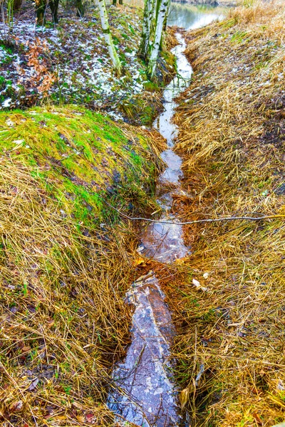 Frozen River Stream Pond Lake Cold Nature Forest Environment Langen — Fotografia de Stock