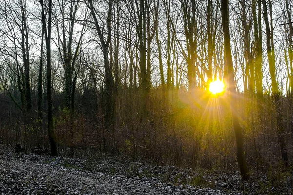 stock image Cool fresh forest and nature in winter time in Langen Geestland Cuxhaven Lower Saxony Germany.