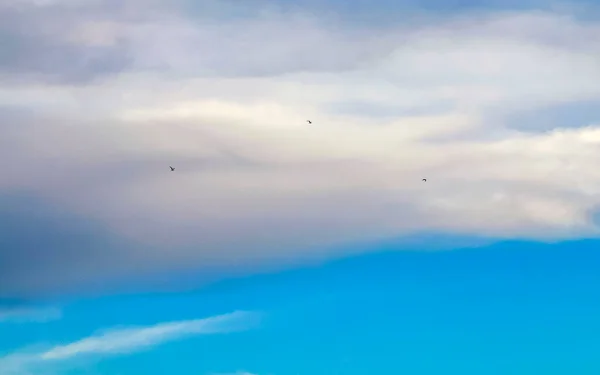 Kék Gyönyörű Felhőkkel Felhő Alakzatok Napsütéses Napon Playa Del Carmen — Stock Fotó