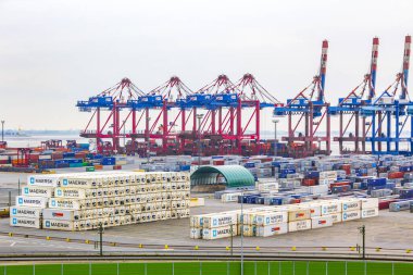 Endüstriyel vinçler ve konteynır limanı güzel otlaklar ve dike doğa deniz manzaralı Weddewarden Bremerhaven Bremen Almanya 'sında.