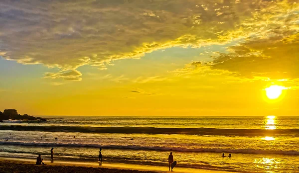 해변에 노란색 오렌지색의 아름다운 다채롭고 황금빛 멕시코 푸에르토에 사카의 자연에 — 스톡 사진