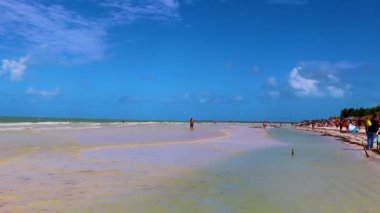 Holbox Meksika 21. Aralık 2021 'de Panorama manzarası güzel Holbox adası kumsalında ve sahilde dalgalar turkuaz su ve mavi gökyüzü Quintana Roo Mexico' da.