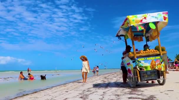 Holbox Meksika Aralık 2021 Panorama Manzarası Güzel Holbox Adası Kumsalında — Stok video