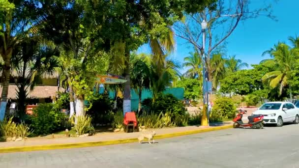 プエルト エスコンディード メキシコ25 2022年10月アヴェンダの街の美しい景色のパノラマデル モロ観光通りプエルトエスコンディドとジカテラオアハカメキシコ — ストック動画