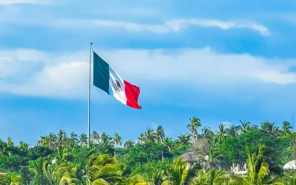 Мексиканський Зелений Білий Прапор Пальмами Синім Небом Хмарами Пуерто Ескондідо — стокове фото