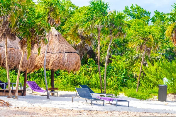 Playa Del Carmen Quintana Roo Daki Tropikal Plajda Palapa Çatı — Stok fotoğraf
