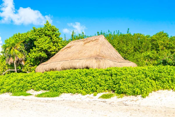 Palapa Roof Resort Tropical Beach Playa Del Carmen Quintana Roo — Stock Photo, Image