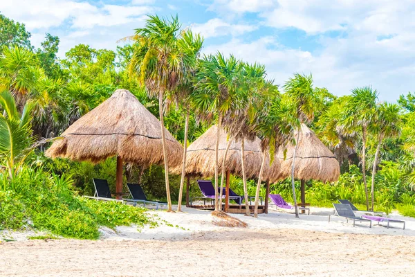 Palapa Tetto Resort Spiaggia Tropicale Playa Del Carmen Quintana Roo — Foto Stock