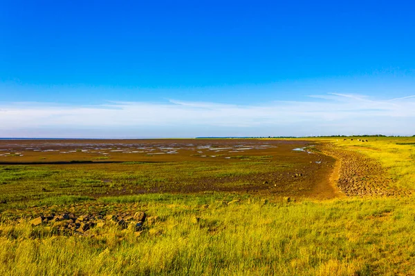 Mooie Kust Wadden Zee Wadden Wadden Zeegezicht Landschap Dorum Wurster — Stockfoto