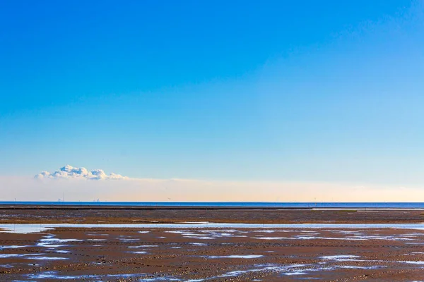 Красивые Прибрежные Ватты Приливные Равнины Морскими Пейзажами Dorum Wurster North — стоковое фото