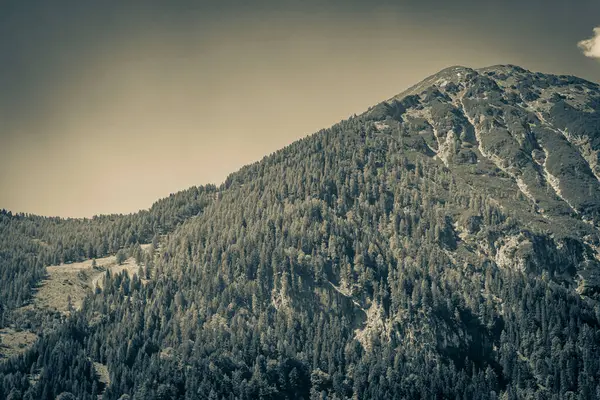 Karinthia Avusturya Daki Muhteşem Doğal Ormanlık Dağ Alp Manzarasının Siyah — Stok fotoğraf