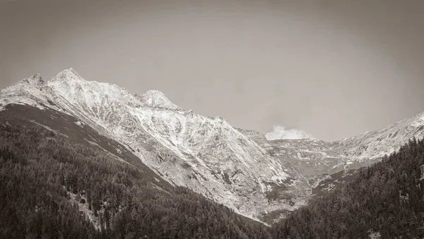 Černobílý Starý Obrázek Nádherné Přírodní Zalesněné Horské Alpské Panorama Korutanech — Stock fotografie