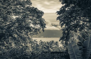 Angra dos Reis Rio de Janeiro Brezilya 'daki palmiye ağaçları arasındaki büyük tropikal ada Ilha Grande Abraao plajının eski siyah beyaz resmi..