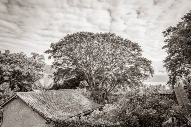 Angra dos Reis Rio de Janeiro Brezilya 'da, tropikal ada Ilha Grande' nin eski siyah beyaz resmi..