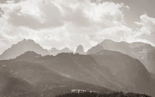 Starý Černobílý Starý Obraz Nádherné Přírodní Zalesněné Hory Alpské Panorama — Stock fotografie