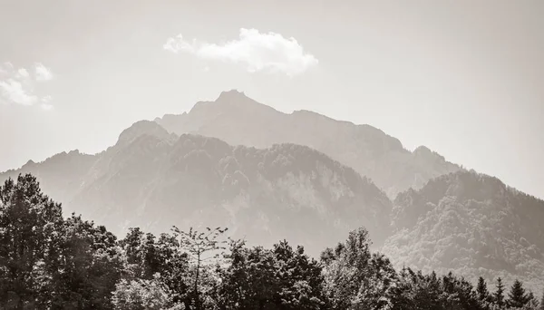 Starý Černobílý Obraz Nádherné Přírodní Zalesněné Horské Alpské Panorama Pongau — Stock fotografie