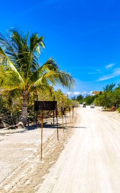 Quintana Roo Mexico 'daki güzel Holbox adasında kumlu yol yürüyüşü ve tropikal doğa manzarası.