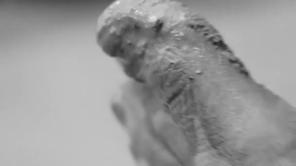 金塔纳罗奥岛上极其肮脏的白色尘土飞扬的脚 — 图库视频影像