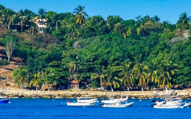 Puerto Escondido Oaxaca Meksika 16. Aralık 2022 Puerto Escondido Oaxaca Meksika 'daki Zicatela liman ve sahilinde balıkçı tekneleri.