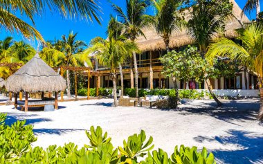 Quintana Roo Mexico 'daki güzel Holbox adasında tropikal doğa manzaralı tatil köyleri..