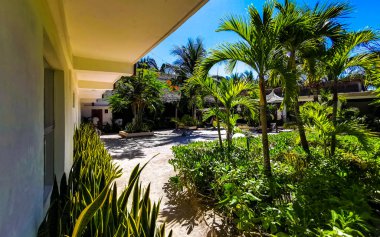 Quintana Roo Mexico 'daki güzel Holbox adasında tropikal doğa manzaralı tatil köyleri..