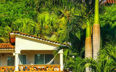 Zicatela Puerto Escondido Oaxaca Meksika 'daki palmiye ağaçları arasında cennetteki oteller ve binalar.