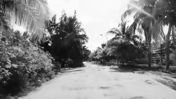 Гольф Кар Катание Коляске Ногами Острове Isla Holbox Кинтана Роо — стоковое видео