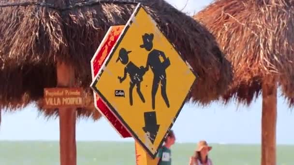 Panneaux Signalisation Panneaux Routiers Directionnels Sur Île Isla Holbox Quintana — Video
