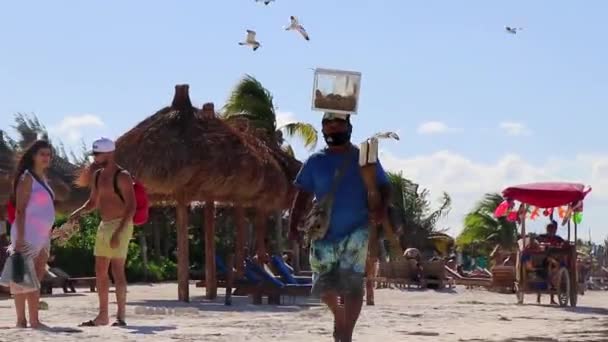 Holbox Quintana Roo Μεξικό Δεκέμβριος 2021 Παραλία Πωλητής Γυάλινο Κουτί — Αρχείο Βίντεο