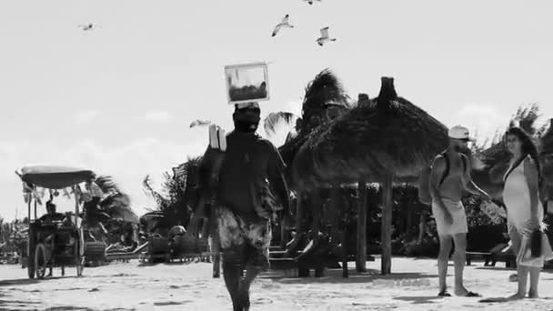 Holbox Кинтана Роо Мексика Декабрь 2021 Пляжный Торговец Стеклянной Коробкой — стоковое видео