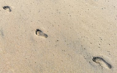 Zicatela Puerto Escondido Oaxaca Meksika 'daki kumsalda ayak izleri..