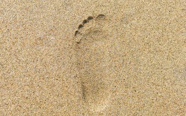 Zicatela Puerto Escondido Oaxaca Meksika 'daki kumsalda ayak izleri..