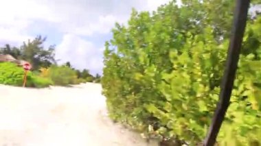 Golf arabası at arabasıyla doğada ve Quintana Roo Mexico 'daki Holbox Adası' ndaki sahilde..