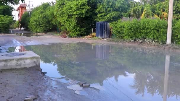 キンタナ メキシコのアイラ ホルボックス島に水たまりや泥と泥の泥道 — ストック動画