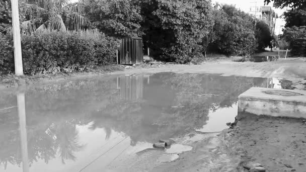 キンタナ メキシコのアイラ ホルボックス島に水たまりや泥と泥の泥道 — ストック動画
