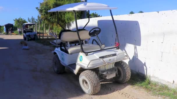 ゴルフカートバギー車村の泥だらけの砂の通りの道路やHolbox島のビーチでタクシーメキシコ — ストック動画