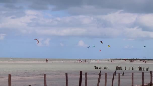 Holbox Mexico December 2021 Panorama Landscape View Beautiful Holbox Island — Stock video