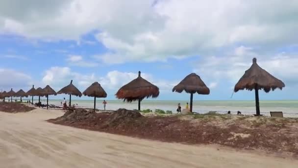 Golf Arabası Arabasıyla Doğada Quintana Roo Mexico Daki Holbox Adası — Stok video
