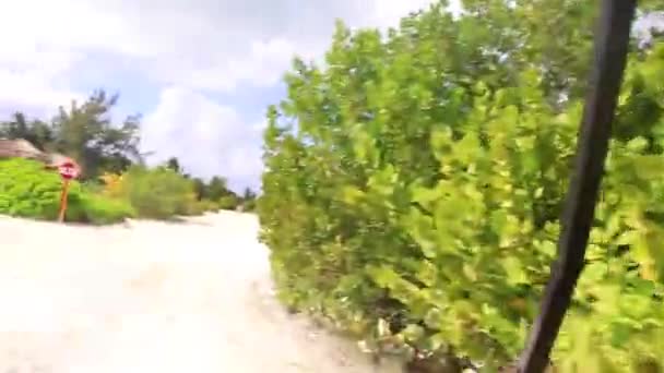 Carrinho Golfe Passeio Buggy Thru Aldeia Natureza Praia Ilha Isla — Vídeo de Stock