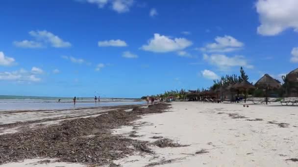 Holbox Mexico December 2021 Panorama Landscape View Beautiful Holbox Island — 图库视频影像