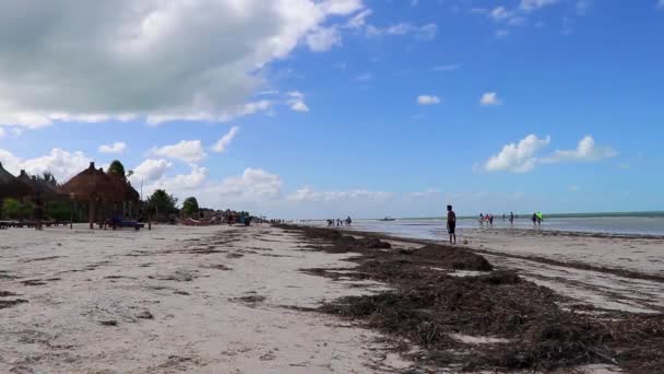 Holbox Mexico December 2021 Panorama Landscape View Beautiful Holbox Island — Stockvideo