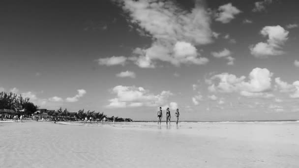 Holbox Mexico December 2021 Panorama Landscape View Beautiful Holbox Island — Wideo stockowe