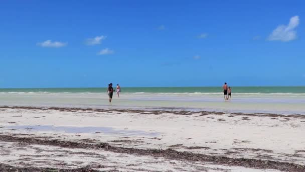 Holbox Mexico December 2021 Panorama Landscape View Beautiful Holbox Island — Vídeo de Stock