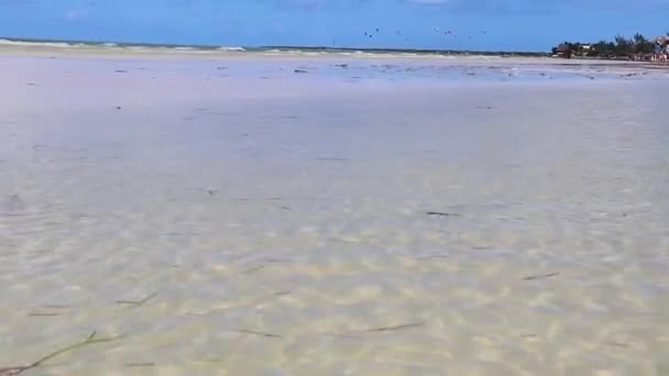 金塔纳罗奥州美丽的荷包尔斯岛沙洲和沙滩上的自然全景景观 波浪碧绿 蓝天碧绿 — 图库视频影像