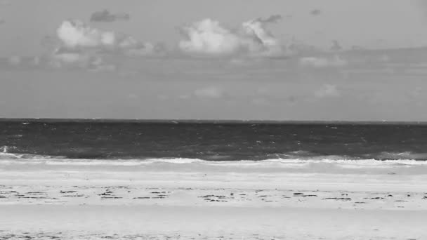 Naturlig Panorama Landskap Utsikt Över Vackra Holbox Sandstrand Och Strand — Stockvideo