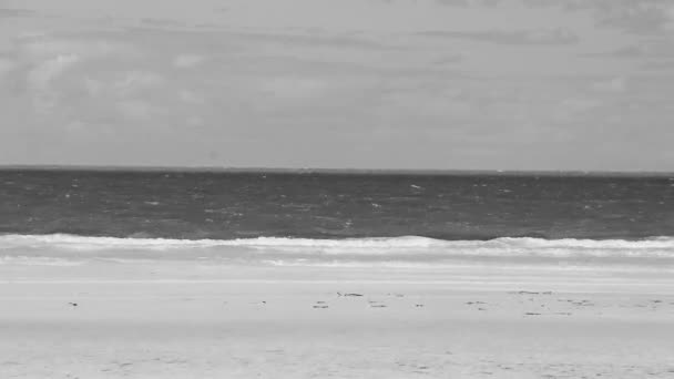 Natural Panorama Landscape View Beautiful Holbox Island Sandbank Beach Waves — Stock Video